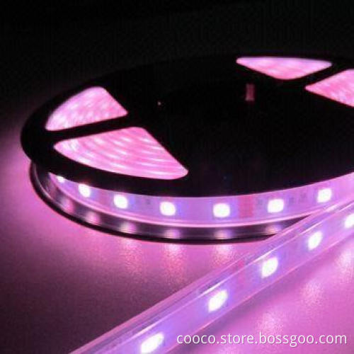 IP68 16-piece TM1806 IC/32-piece/m 5050 RGB 12V DC Multi-color Flexible LED Strip with 99 Work Modes